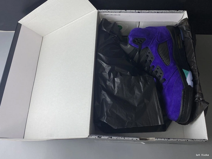  “Alternate 5 Jordan Grape” 136027-500 Air 0204